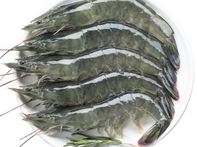 4斤包邮 盐冻厄瓜多尔南美白对虾 王牌桑塔欧玛莎 新鲜日期发货图5