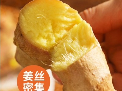 云南小黄姜新鲜批发生姜老姜新姜生鲜块姜1/2/3/5/8/9/10一件代发图3