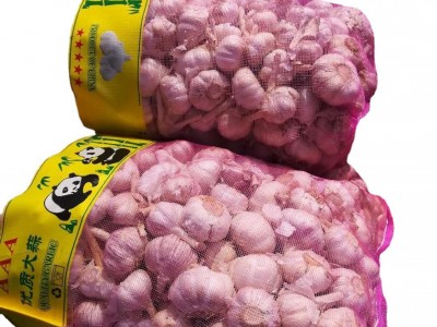 供应金乡太空蒜种，蒜子，紫皮蒜子，白皮蒜子图5