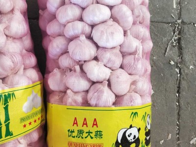 大蒜公司，源头工厂供应金乡出口大蒜，超市大蒜图1