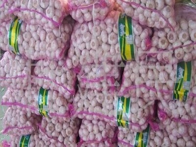 金乡大蒜批发 白皮蒜 蒜头低价批发图3