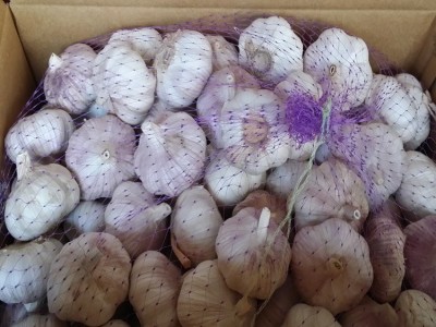 供应金乡大蒜 大蒜出口残次品2kg 28元 ，不影响使用，美观度欠，图2