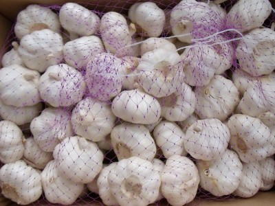 供应金乡大蒜 大蒜出口残次品2kg 28元 ，不影响使用，美观度欠，图3