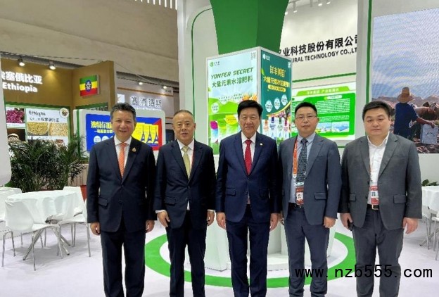 微信截图_20241216172645
