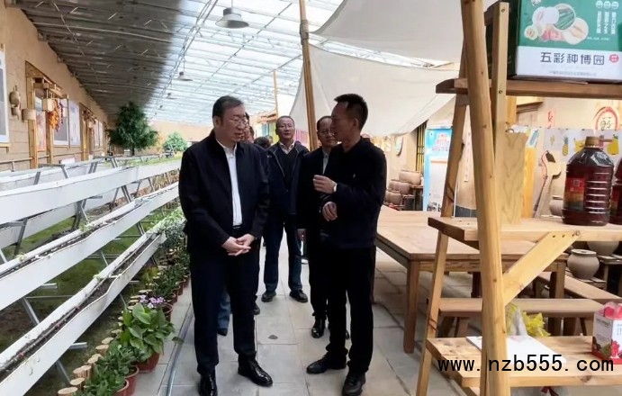 微信截图_20250116170804