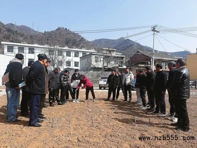 微信截图_20250306172408