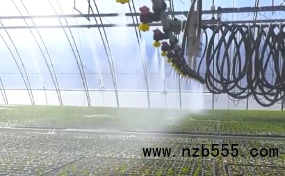 微信截图_20250324160422