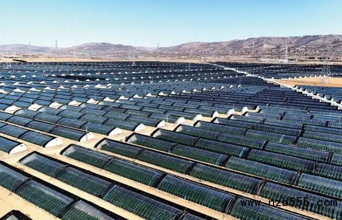 微信截图_20250424163012
