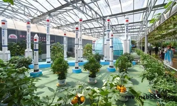 微信截图_20250427170455