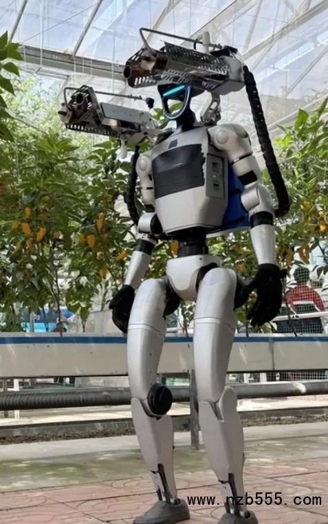 微信截图_20250427170523