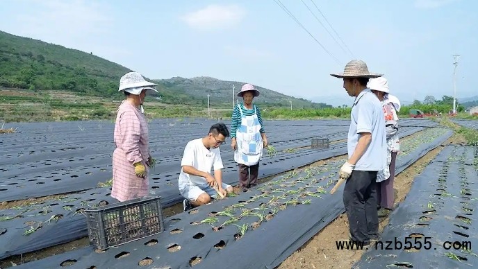 微信截图_20250512164043