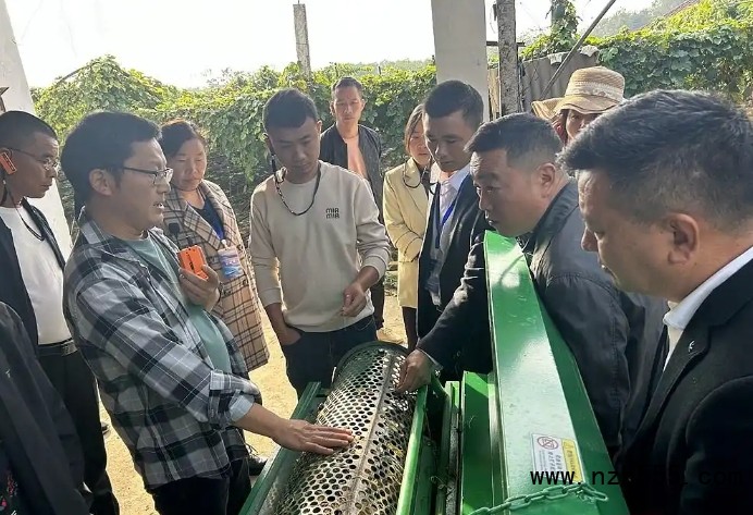 微信截图_20250515165157
