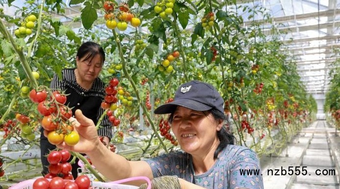 微信截图_20250519114559
