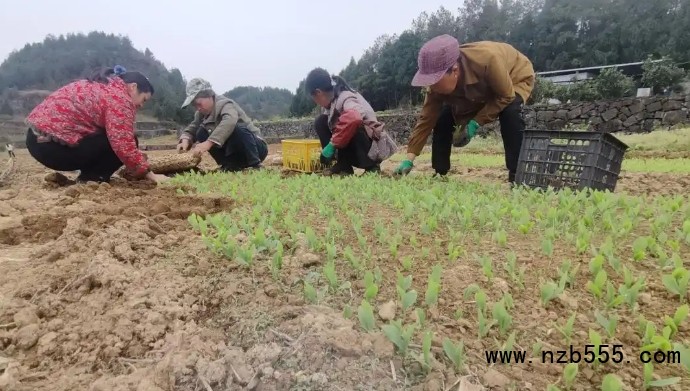 微信截图_20250526140133