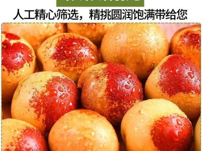 冬枣图4