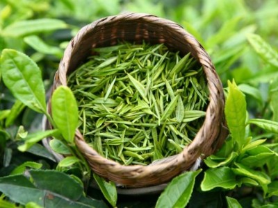 成都品茶喝茶推荐：分享成都小众品茶工作室老茶友私藏qt茶空间图3