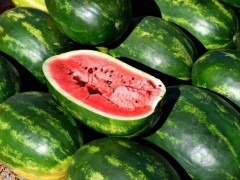 种植西瓜怎么施肥？基肥施不足会有什么后果？