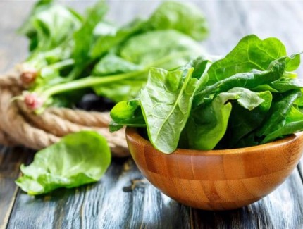 菠菜出苗后烂根死苗是怎么回事？如何正确防治