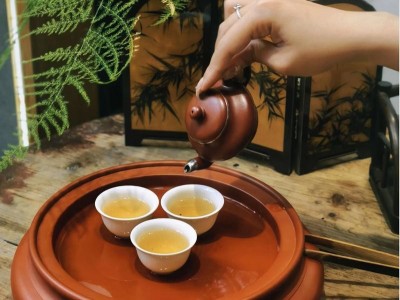 探寻成都品茶喝茶:走进成都品茶工作室在茶香里偷得浮生半日闲图2