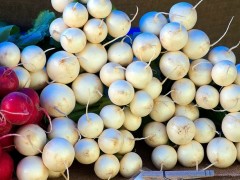 种植白萝卜如何进行土肥管理，管理要点都有哪些？