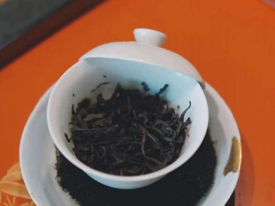 探访成都本地品茶工作室宝藏qt茶空间,寻得一段静谧时光图2