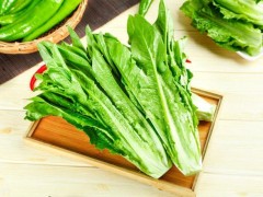 种植油麦菜的最佳时间!选对种植时间,油麦菜才能高产!