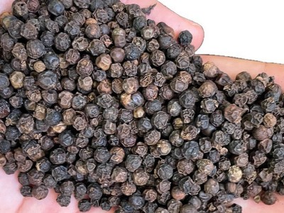 严选黑胡椒粒500克大颗粒商用出口报检海盐胡椒粉原料 家用烤肉料图5