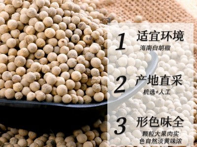 海南白胡椒粒批发500克手选足干去杂白糊椒商用白胡椒粉 一件代发图3