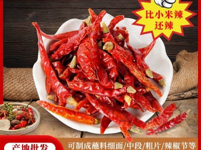印度椒印度魔鬼椒辣椒王椒1斤/袋可免费磨粉切断量大价优批发包邮图2