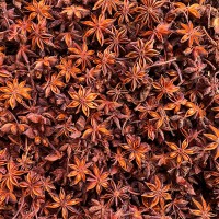 现货批发 广西大红八角大料大茴香香料卤料调料调味品全干香料