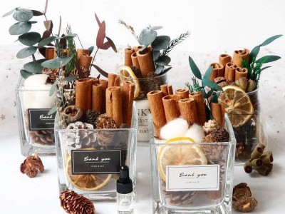 柠檬干货现货批发柠檬片调味果干泡水花茶散装烘培插片香薰扩香图2