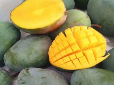 凯特芒果攀枝花凯特芒大芒果青皮芒果大果非贵妃红玉苹果芒大青芒图4