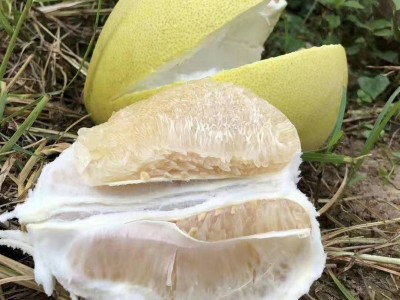 柚子沙田柚广东梅州沙田柚子非广西沙甜柚子琯溪蜜柚水果新鲜代发图3