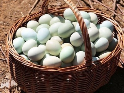 严选40枚绿壳鸡蛋新鲜乌鸡土鸡蛋农家散养月子蛋宝宝蛋正宗柴草蛋图2