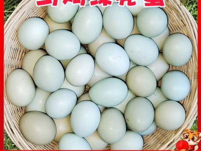 严选40枚绿壳鸡蛋新鲜乌鸡土鸡蛋农家散养月子蛋宝宝蛋正宗柴草蛋图4