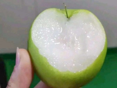 广西大青枣牛奶枣新鲜采摘脆甜多汁产地直发整箱批发代发包邮贸易图2