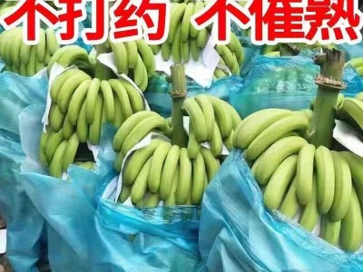 【严选】广西香蕉高山香甜新鲜批发水果工厂3斤5斤10斤高山香甜图2