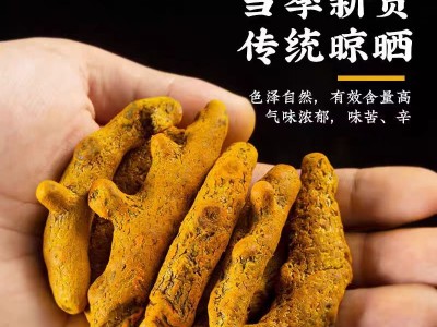 批发姜黄个500g港口香料姜黄个供应咖喱粉原料卤肉调味现磨姜黄粉图3