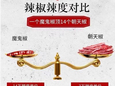 印度椒s17干辣椒段香辣干货红辣椒特辣炒菜卤菜提辣魔鬼辣干辣椒图3