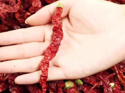 新疆线椒秦椒微辣特香辣椒干红油辣椒辣皮子海椒皱皮椒二荆条图4