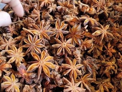 广西大红八角大茴香大料干货 地摊八角火锅底料香辛料图3