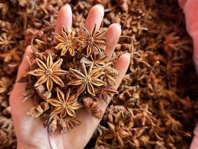 广西大红八角大茴香大料干货 地摊八角火锅底料香辛料图4