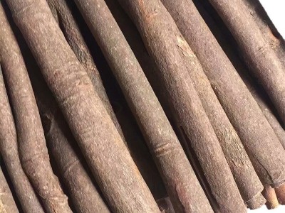 桂皮500g干货现货批发带皮桂皮烟桂香料大全调料餐饮卤肉图5