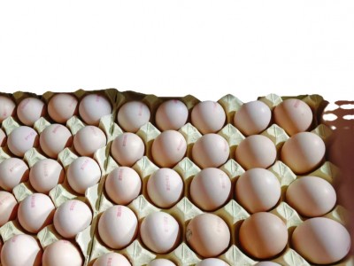 批发新鲜虫草鸡蛋富硒无抗蛋土鸡蛋笨鸡蛋草鸡蛋喷码印字图5