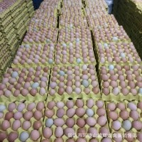 批发新鲜农家散养土鸡蛋草鸡蛋笨鸡蛋粉壳蛋鲜鸡蛋柴鸡蛋谷物蛋