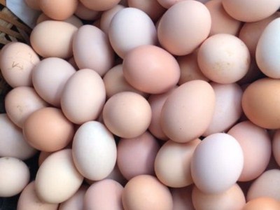 批发新鲜农家散养土鸡蛋草鸡蛋笨鸡蛋粉壳蛋鲜鸡蛋柴鸡蛋谷物蛋图2
