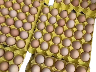 批发新鲜农家散养土鸡蛋草鸡蛋笨鸡蛋粉壳蛋鲜鸡蛋柴鸡蛋谷物蛋图5