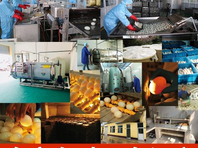 双黄咸鸭蛋大个100g正宗流油雄安新区白洋淀特产海鸭蛋礼盒装盐蛋图4