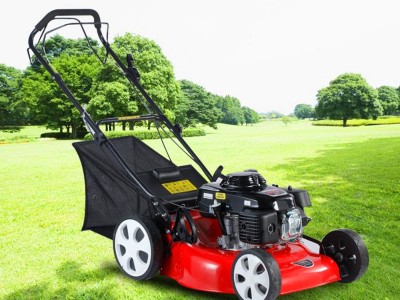 汽油GXV160动力自走式山地打草机手推式汽油草坪机园林绿化割草机图2