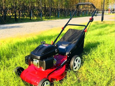 汽油GXV160动力自走式山地打草机手推式汽油草坪机园林绿化割草机图3